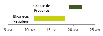 Griotte de Provence