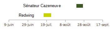 Sénateur Cazeneuve